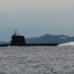 松本釣船２ 釣果