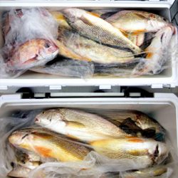 来温丸(らいおんまる) 釣果