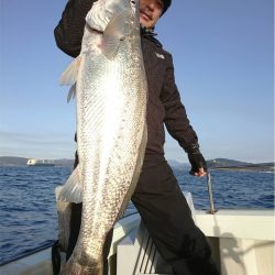 マタウマリンサービス 釣果