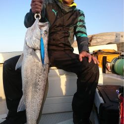 マタウマリンサービス 釣果