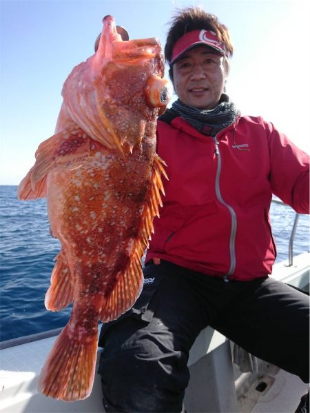 マタウマリンサービス 釣果