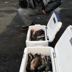 オーフリー 釣果