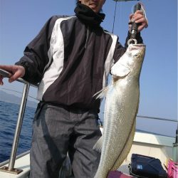 マタウマリンサービス 釣果