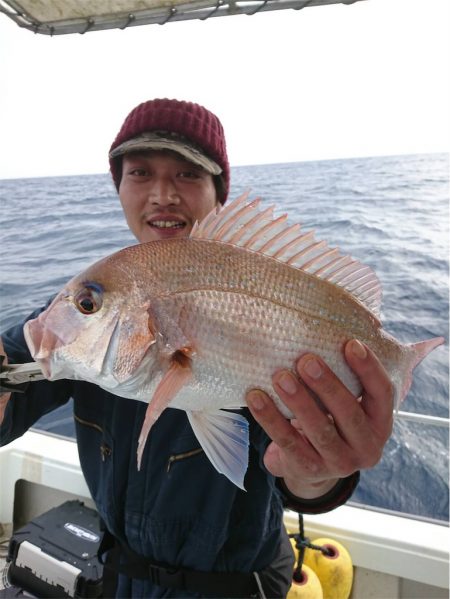 マタウマリンサービス 釣果