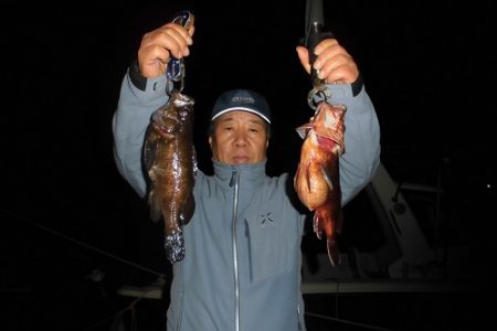 ルアー船マヒマヒ 釣果