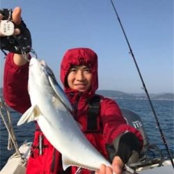 マタウマリンサービス 釣果