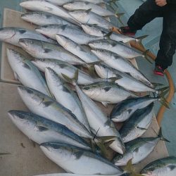 旭星釣りセンター 釣果