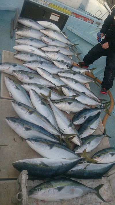 旭星釣りセンター 釣果