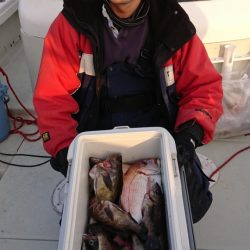 オーフリー 釣果