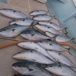 旭星釣りセンター 釣果