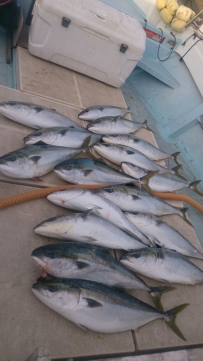 旭星釣りセンター 釣果
