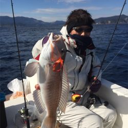 マタウマリンサービス 釣果