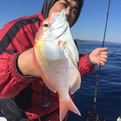 マタウマリンサービス 釣果