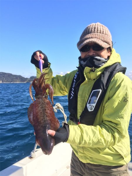 マタウマリンサービス 釣果