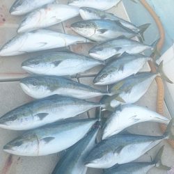 旭星釣りセンター 釣果