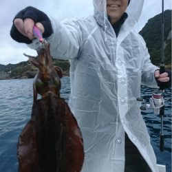 マタウマリンサービス 釣果