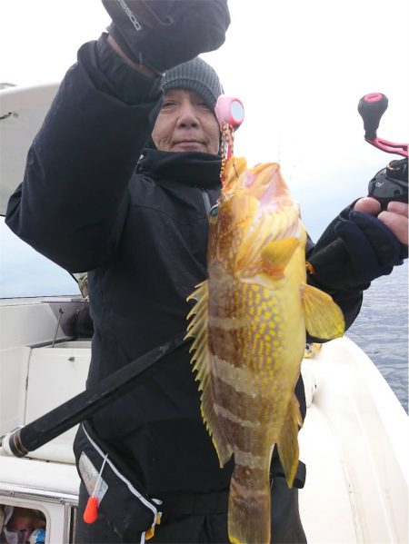 マタウマリンサービス 釣果