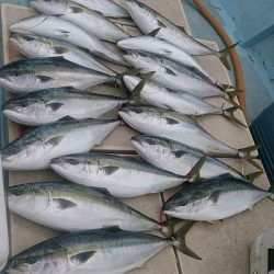 旭星釣りセンター 釣果