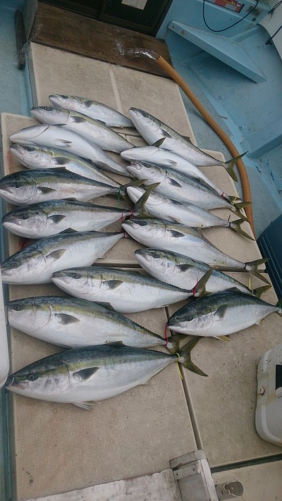 旭星釣りセンター 釣果