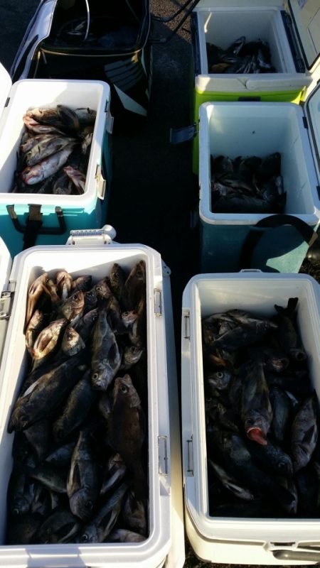 オーフリー 釣果