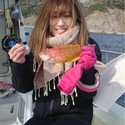 マタウマリンサービス 釣果