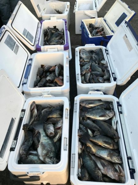 オーフリー 釣果