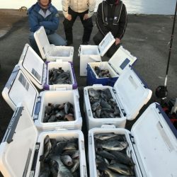 オーフリー 釣果