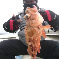 マタウマリンサービス 釣果