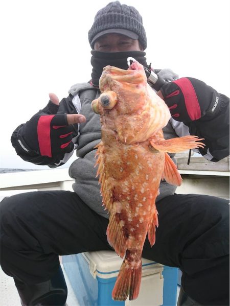 マタウマリンサービス 釣果