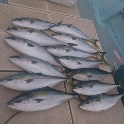 旭星釣りセンター 釣果