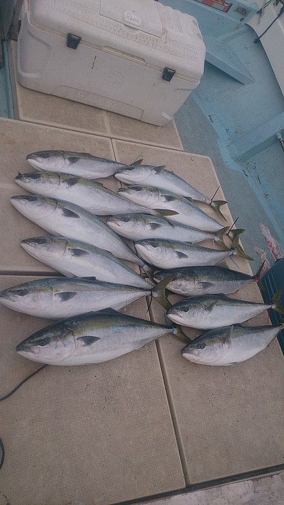 旭星釣りセンター 釣果
