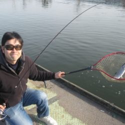 吉羽園 釣果