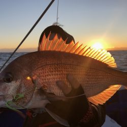 長栄丸(千葉) 釣果