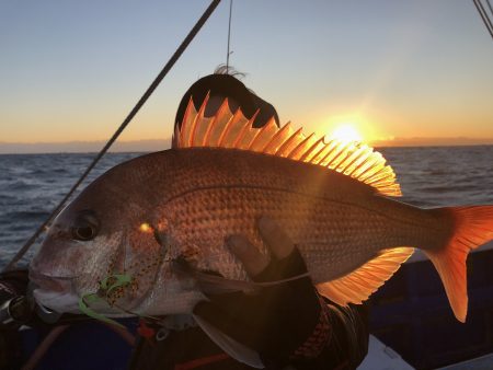 長栄丸(千葉) 釣果