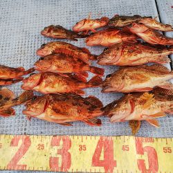 第二常豊丸 釣果