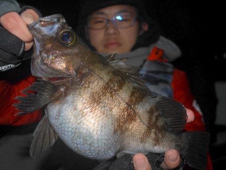 TOPGUN名古屋 釣果