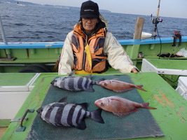 久里浜黒川本家 釣果