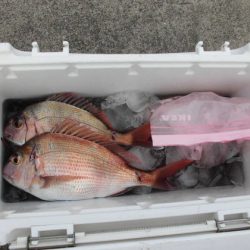 大進丸(新潟) 釣果