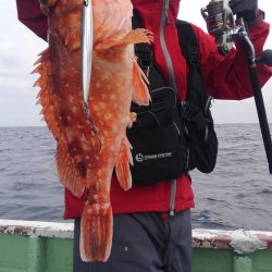 遊漁船 新鋭丸 釣果