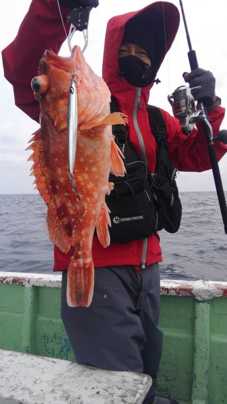 遊漁船 新鋭丸 釣果