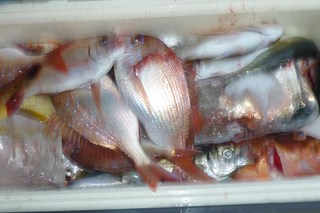 松福丸 釣果