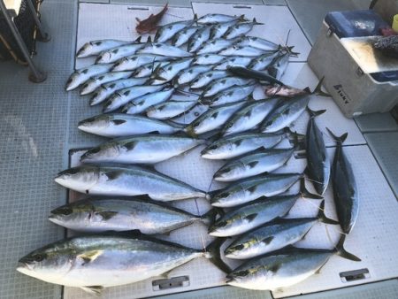 ふじしめ丸 釣果