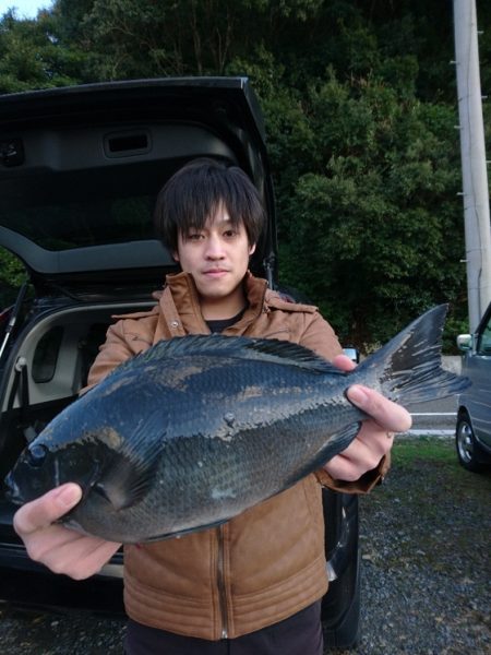 千津丸 釣果