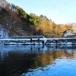 小菅トラウトガーデン 釣果