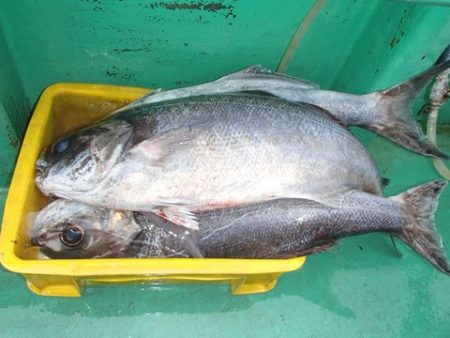 第二むつ漁丸 釣果