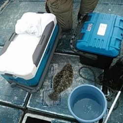 フィッシングガイド りょう 釣果