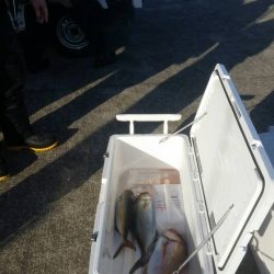 第五慶門丸 釣果