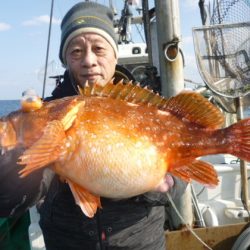 真祐丸 (しんゆうまる) 釣果