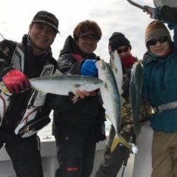 シーマジカル 釣果