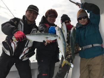 シーマジカル 釣果